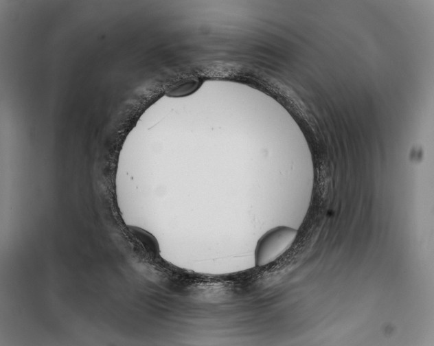 X0000099560307200806061546