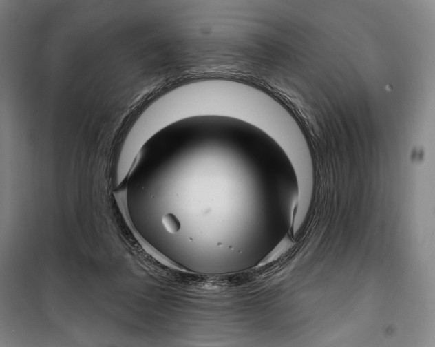 X0000099560308200806061546