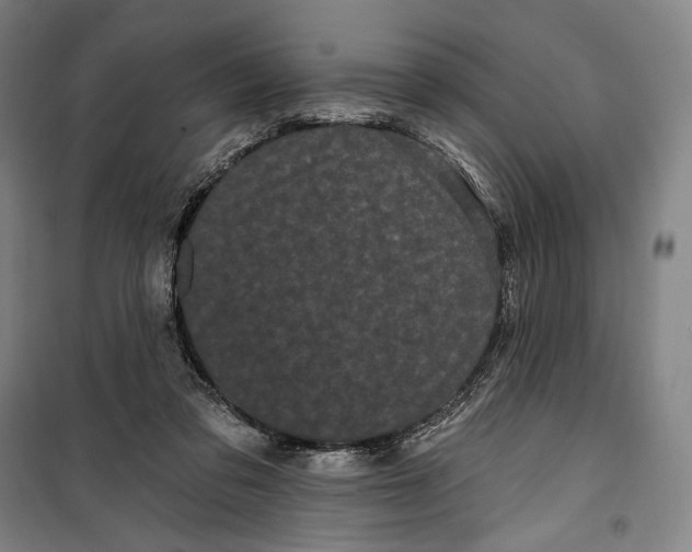 X0000099560309200806061546