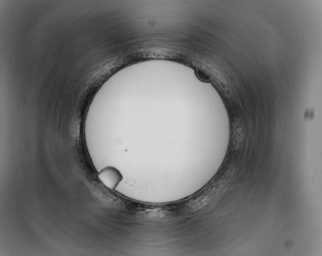 X0000099560310200806061546