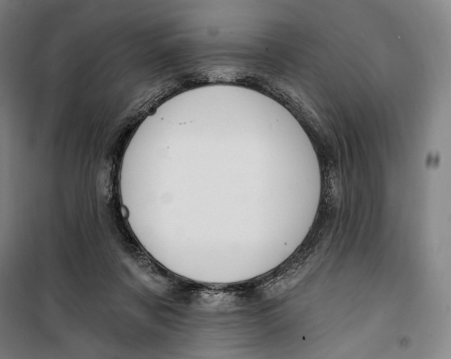 X0000099560311200806061546