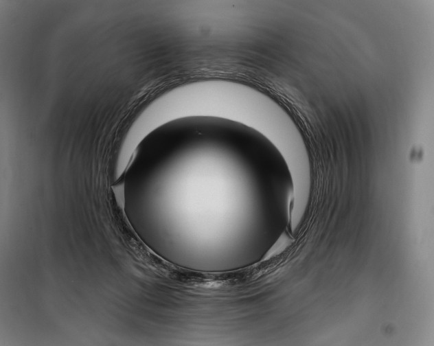 X0000099560312200806061546