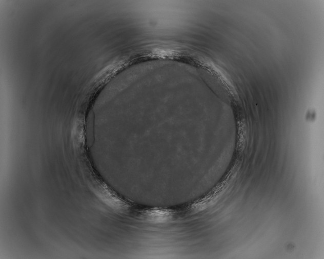 X0000099560313200806061546