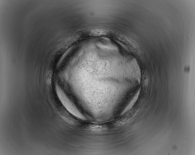 X0000099560315200806061546