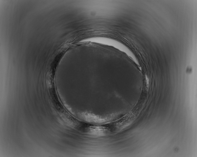 X0000099560316200806061546