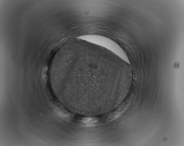 X0000099560319200806061545