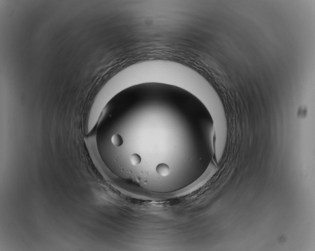 X0000099560320200806061545