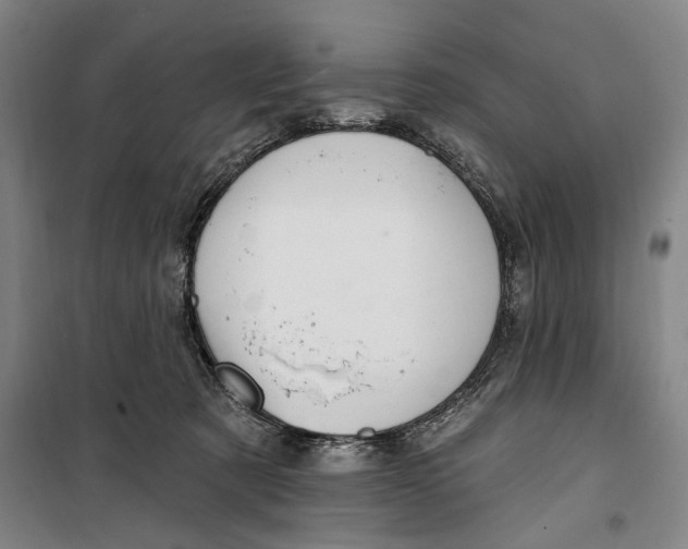 X0000099560321200806061545