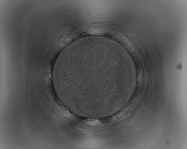 X0000099560322200806061545