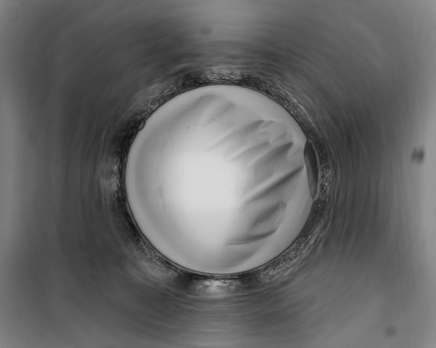 X0000099560323200806061545