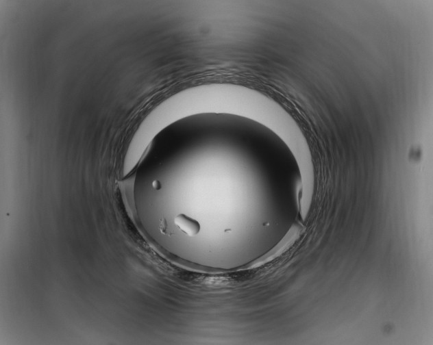 X0000099560324200806061545