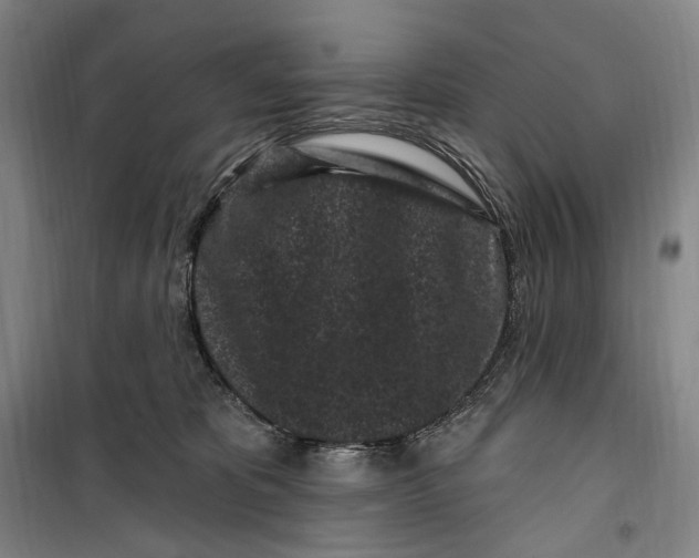 X0000099560325200806061545