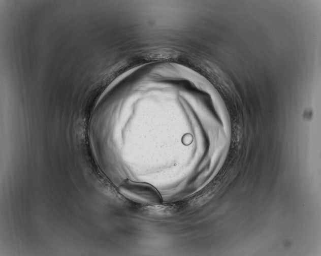 X0000099560326200806061545