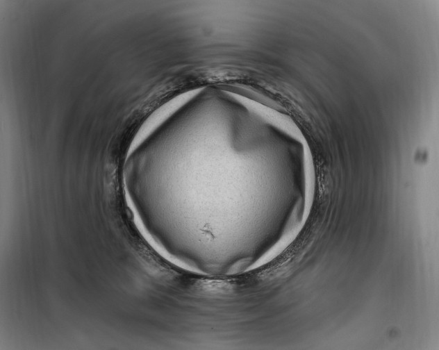 X0000099560327200806061545