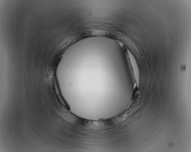 X0000099560329200806061545