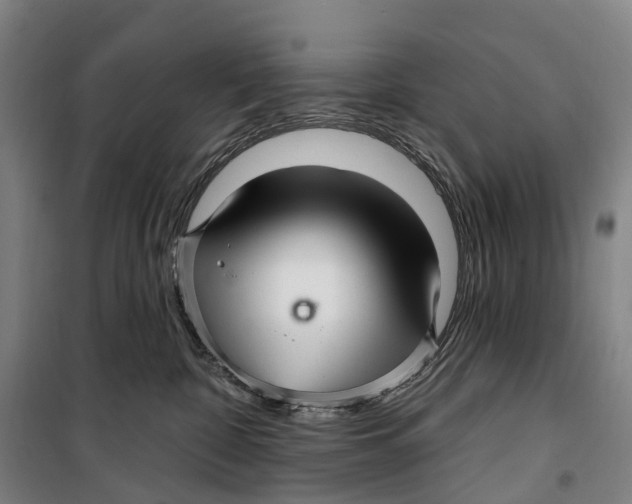 X0000099560332200806061545