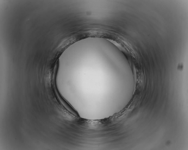 X0000099560333200806061545