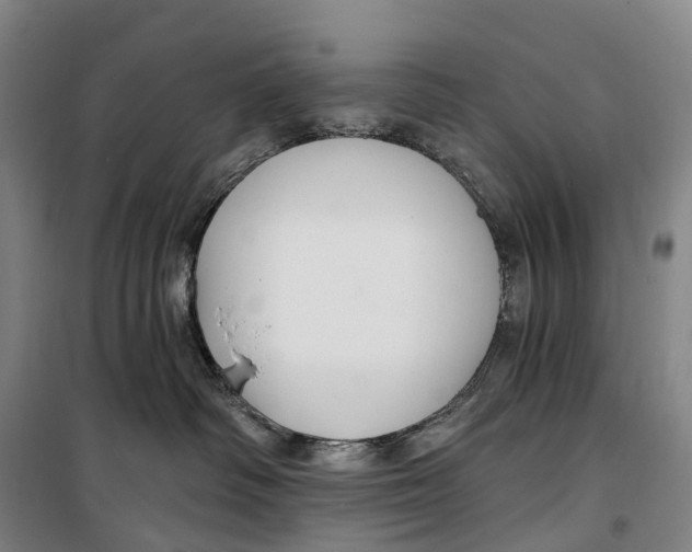 X0000099560334200806061545