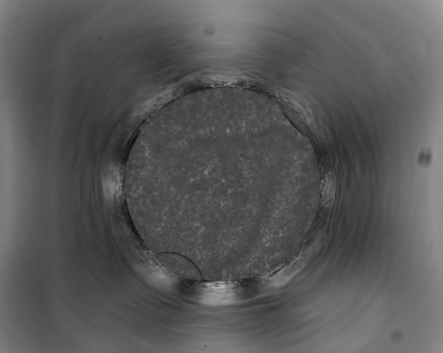 X0000099560335200806061545