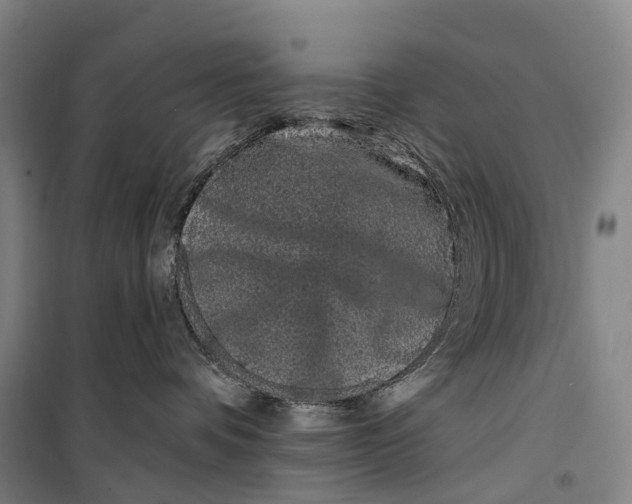 X0000099560336200806061545