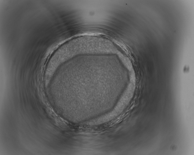 X0000099560337200806061545