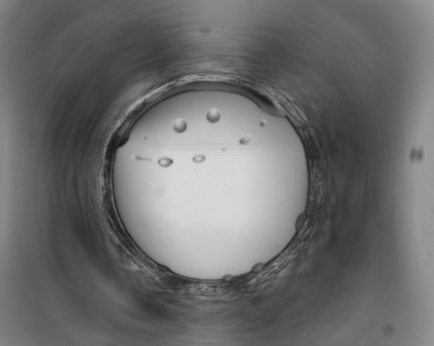 X0000099560338200806061545