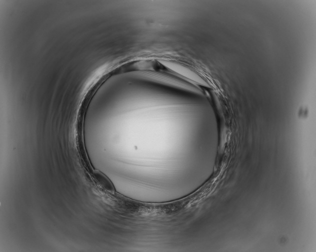 X0000099560340200806061545