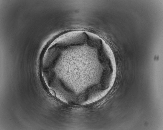 X0000099560342200806061545