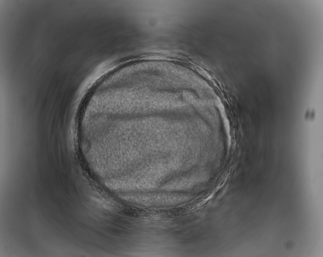 X0000099560343200806061545