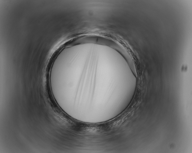 X0000099560344200806061545