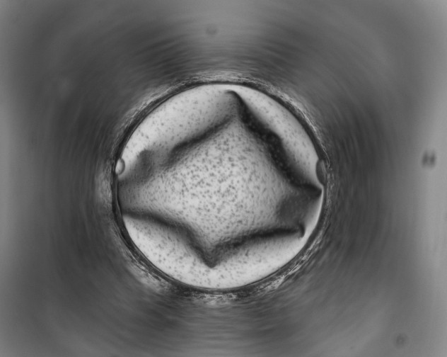 X0000099560345200806061545