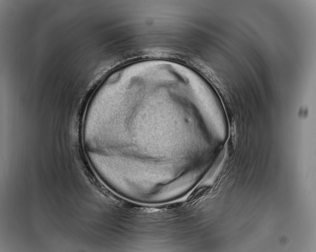 X0000099560347200806061545