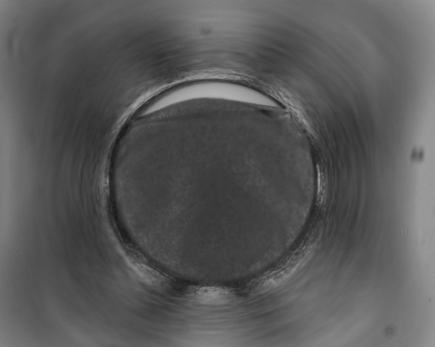 X0000099560348200806061545