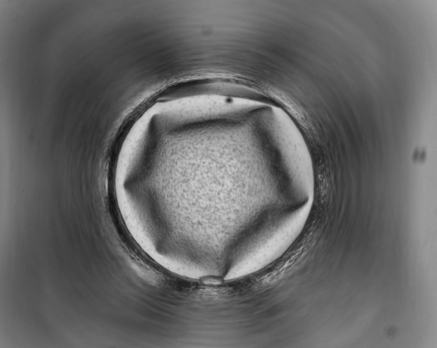 X0000099560350200806061545