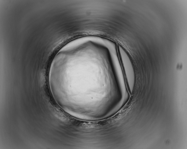 X0000099560351200806061545