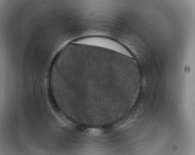 X0000099560352200806061545