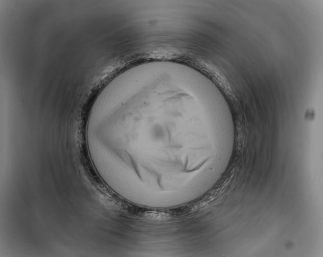 X0000099560354200806061545