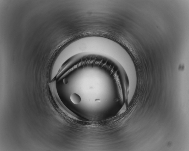 X0000099560356200806061545