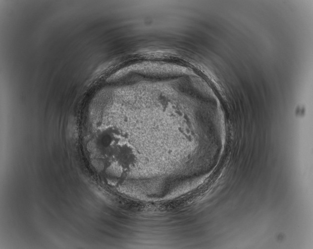 X0000099560357200806061545