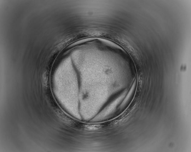 X0000099560359200806061545