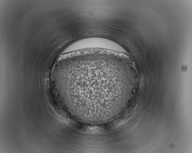 X0000099560360200806061545