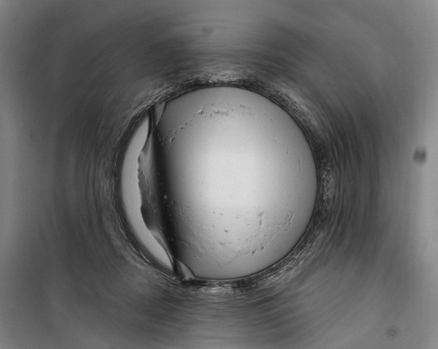 X0000099560362200806061545