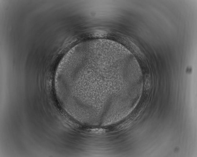 X0000099560363200806061545