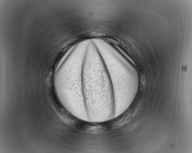 X0000099560364200806061545