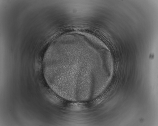 X0000099560367200806061545