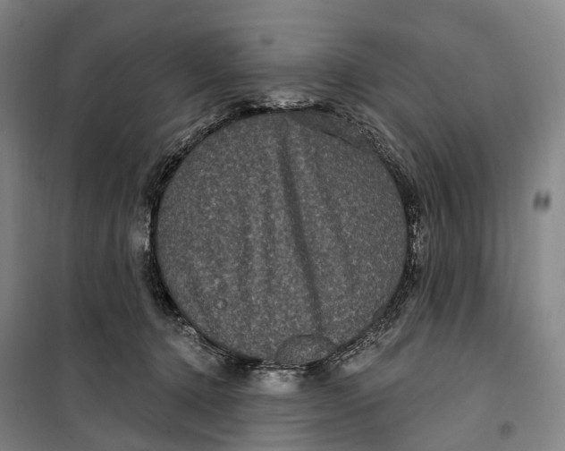 X0000099560368200806061545