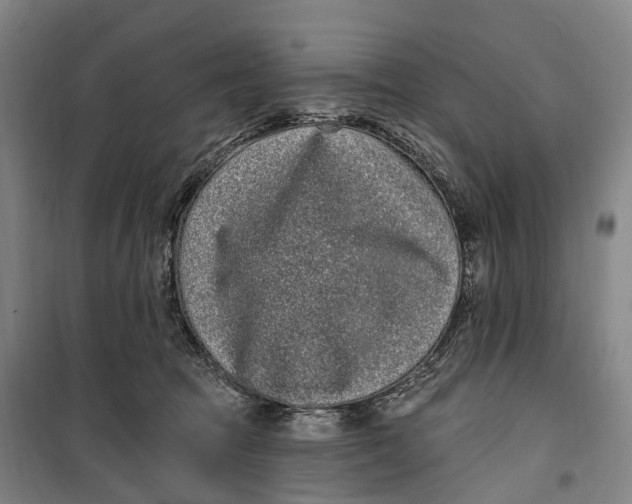 X0000099560369200806061545