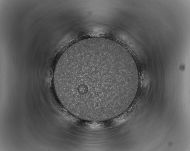 X0000099560370200806061545