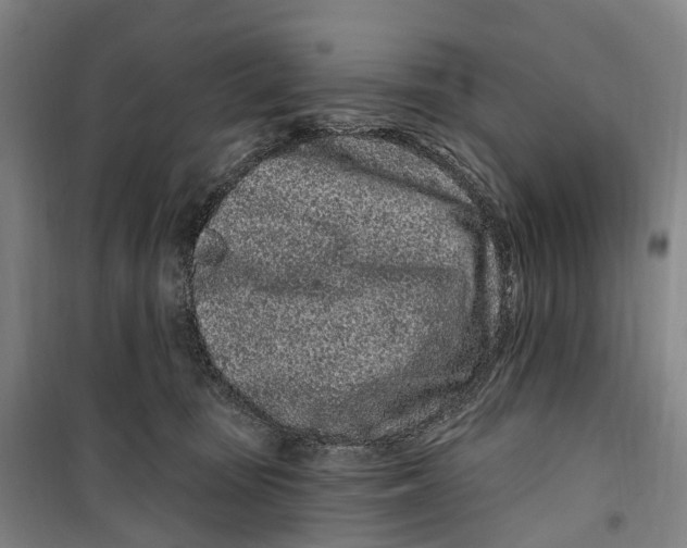 X0000099560371200806061545