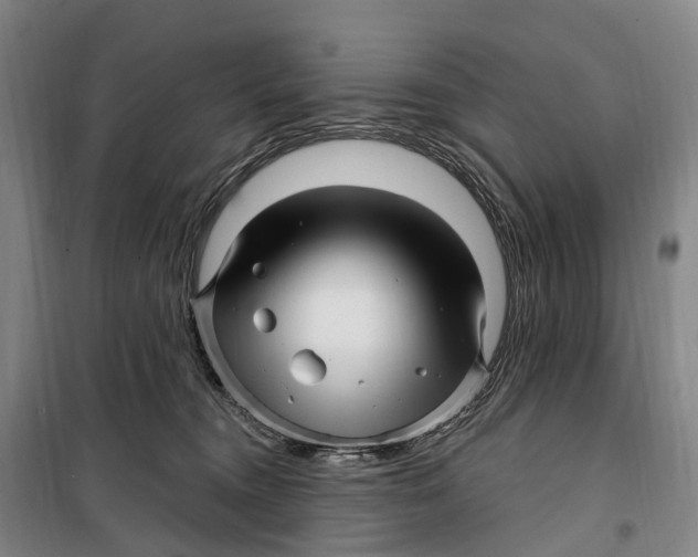 X0000099560372200806061545